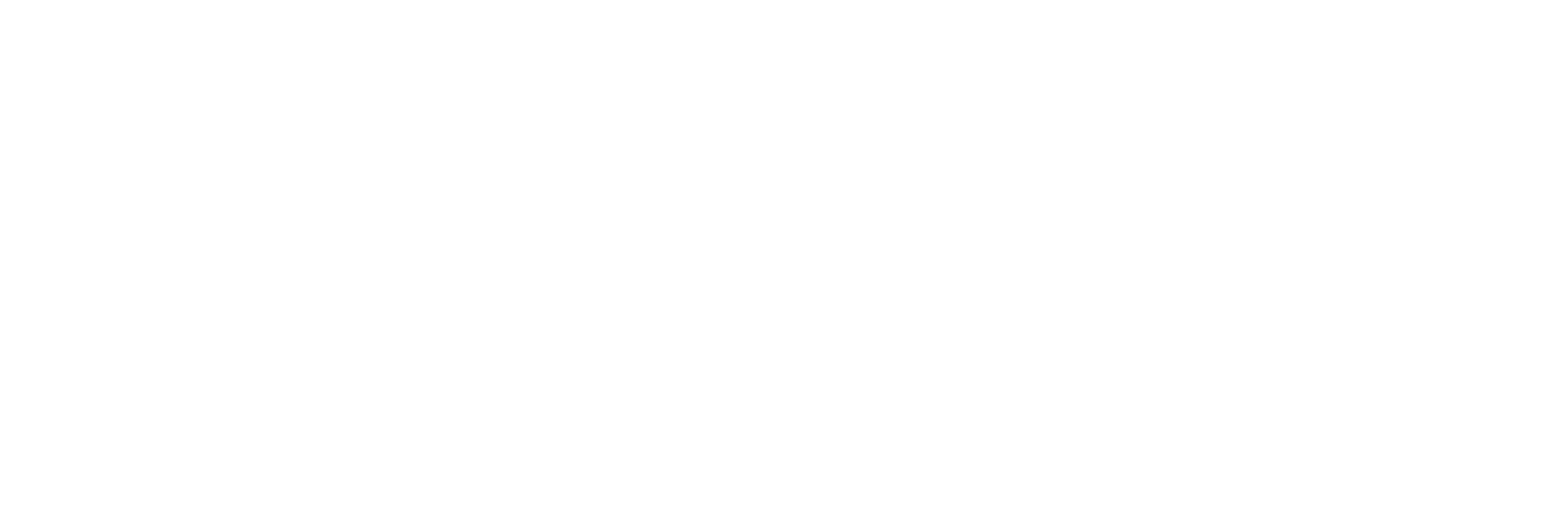 Nemotti Logo
